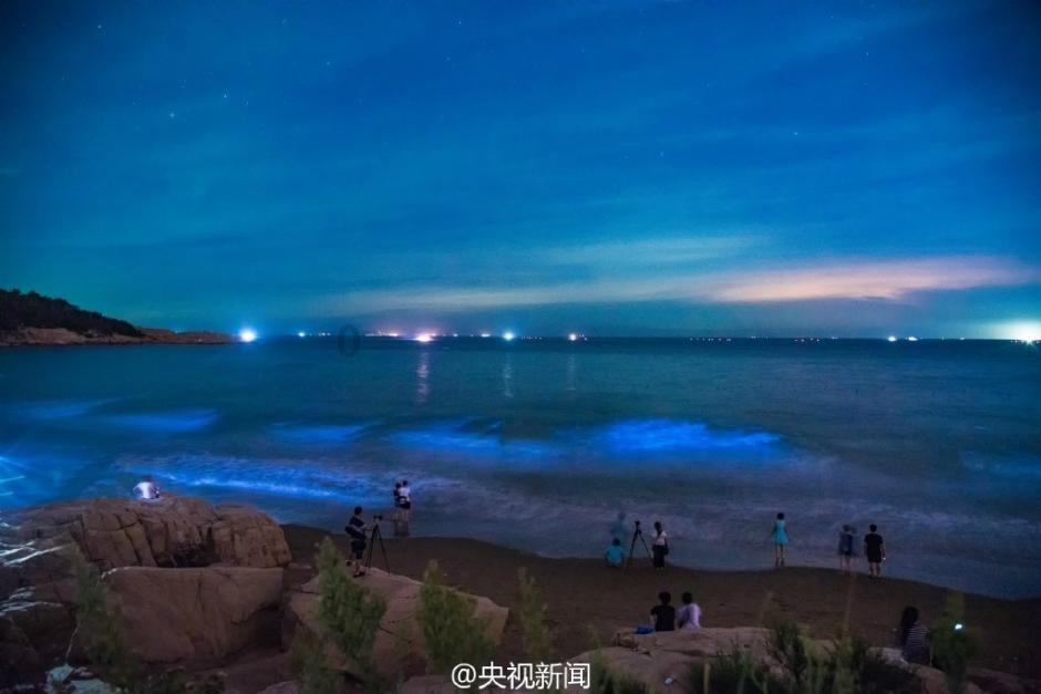 男子爱上相亲对象姐姐,姐姐年龄虽大,但很有韵味
