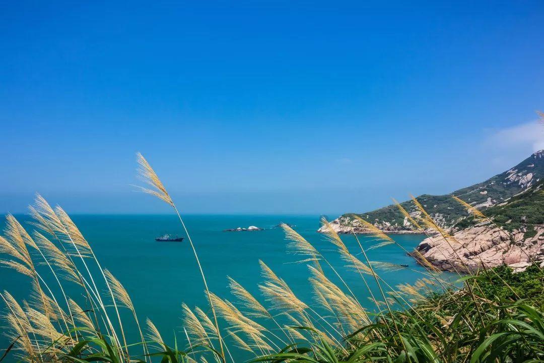 夏日的婚礼